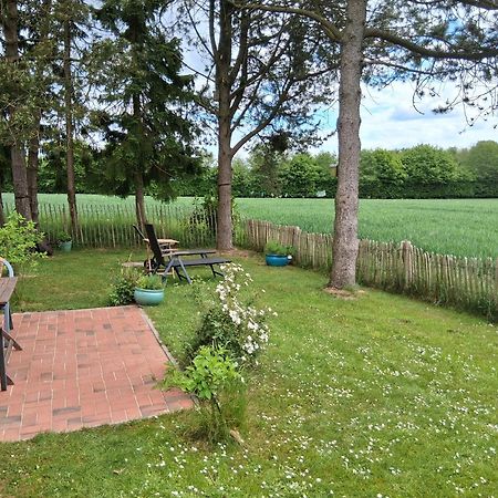 Ferienwohnung Brodersen Boren Exteriör bild