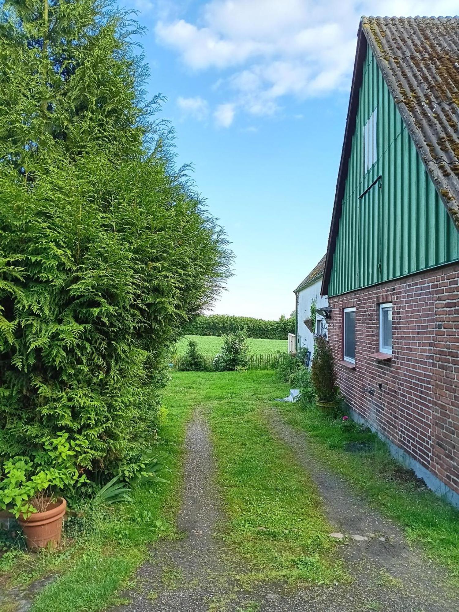 Ferienwohnung Brodersen Boren Exteriör bild